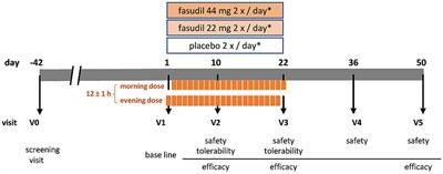 Protocol for a randomized, placebo-controlled, double-blind phase IIa study of the safety, tolerability, and symptomatic efficacy of the ROCK-inhibitor Fasudil in patients with Parkinson’s disease (ROCK-PD)